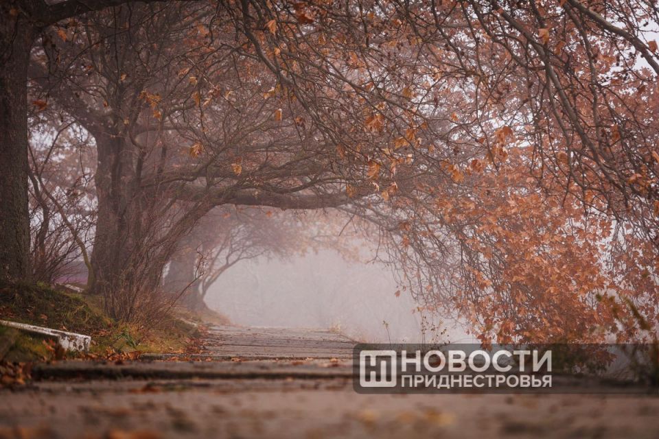 Синоптики передают, что туман продержится сегодня весь день