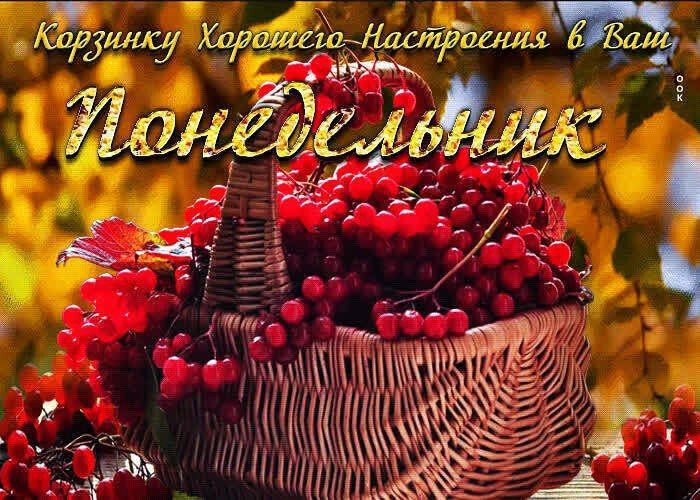 24 ноября – день в календаре