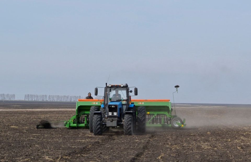 95% озимых посеяли в Приднестровье, доложили президенту на селекторном совещании