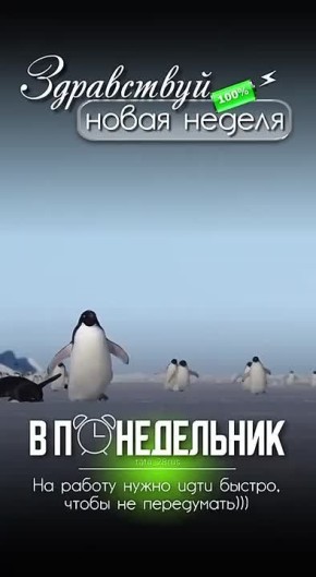 Будим своё настроение !