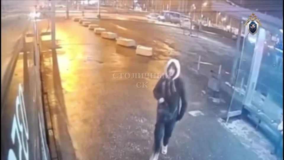 Подросток пырнул охранника ТЦ ножом за замечания, после чего ранил несколько полицейских