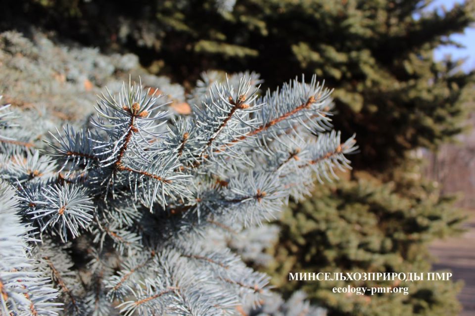 Доброго утра!. Прогноз погоды на сегодня, 24 ноября