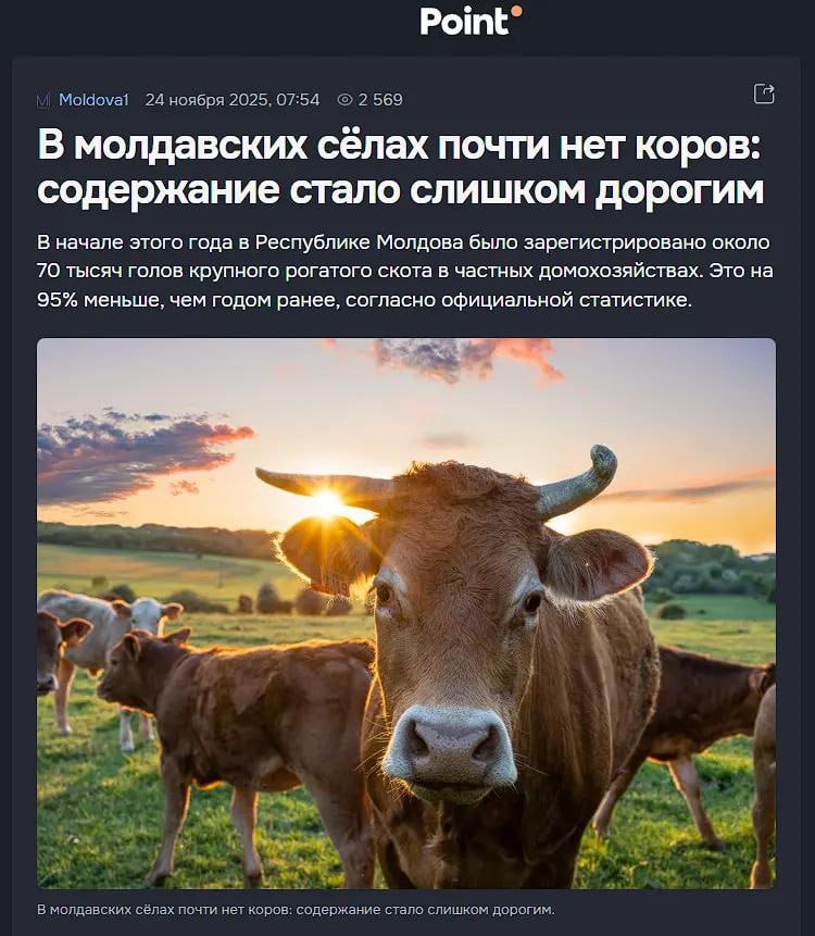 В молдавских сёлах кончаются коровы, сообщают СМИ