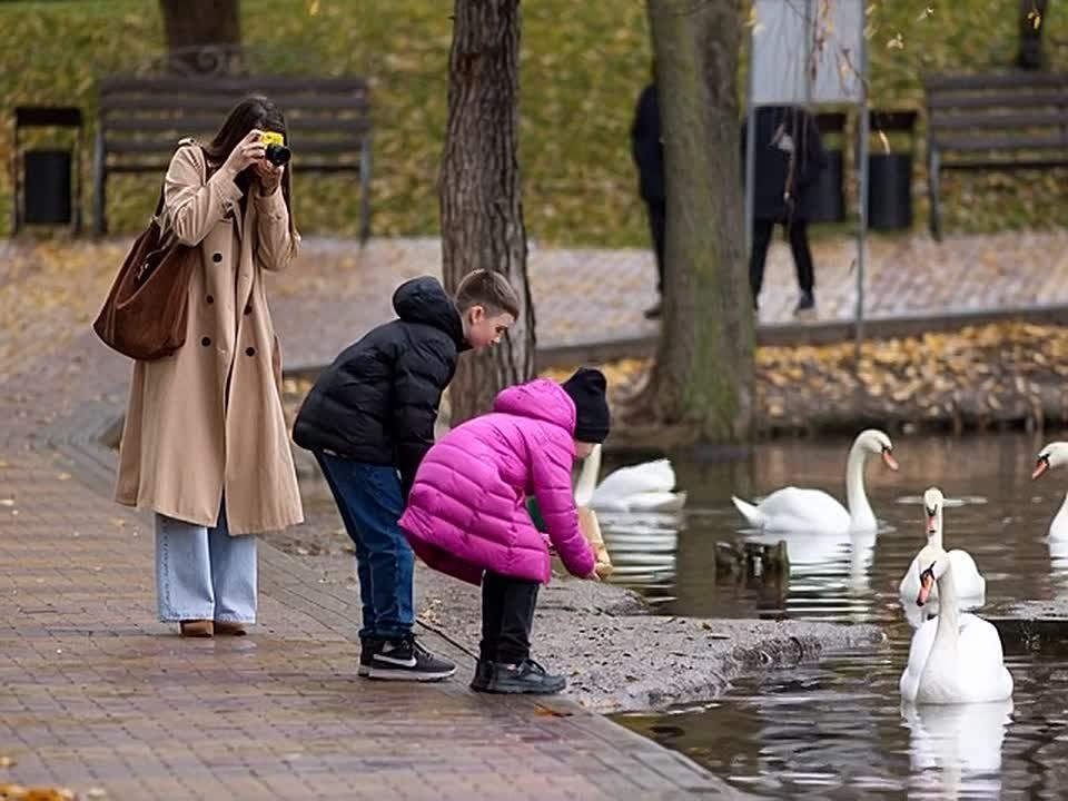 Ожившие фото осени.. Автор Виктор Громов
