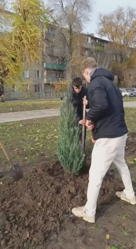 Студенты техникума коммерции высаживают липы и можжевельник в столичном сквере Южный
