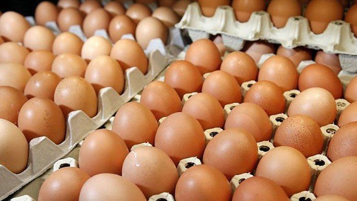 С 26 ноября 2025 г. обнулена ввозная таможенная пошлина на свежие яйца кур домашних (код ТН ВЭД 0407 21 000)