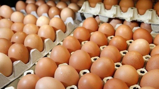  26  2025 .          (   0407 21 000)