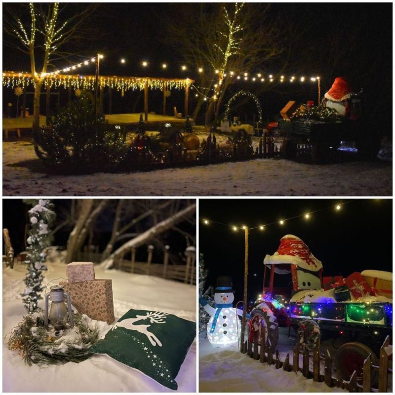 Внимание: конкурс!. Государственная администрация Каменского района и города Каменка объявляет о приёме заявок на участие в конкурсе республиканском конкурсе на лучшее новогоднее и рождественское оформление городов и районов...