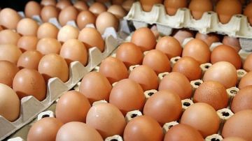  26  2025 .          (   0407 21 000)