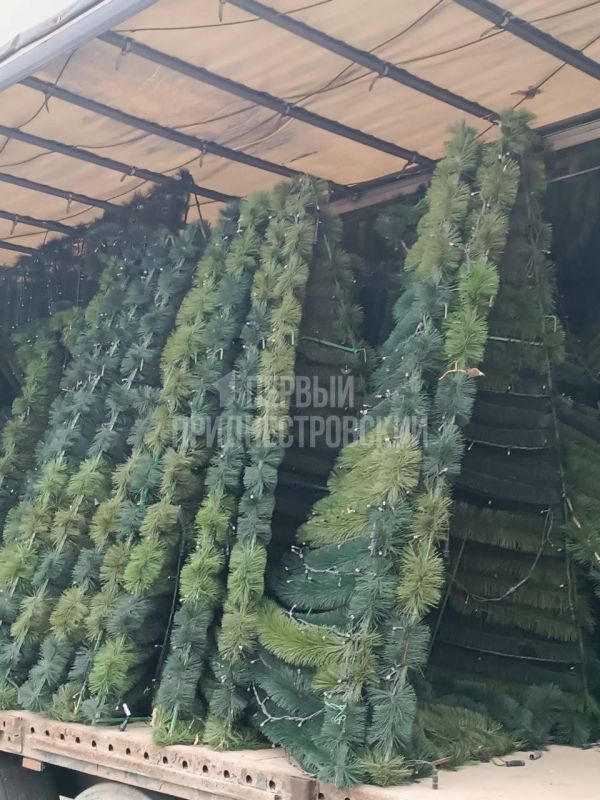 В Каменку привезли новогоднюю ель В Каменку привезли новогоднюю ель