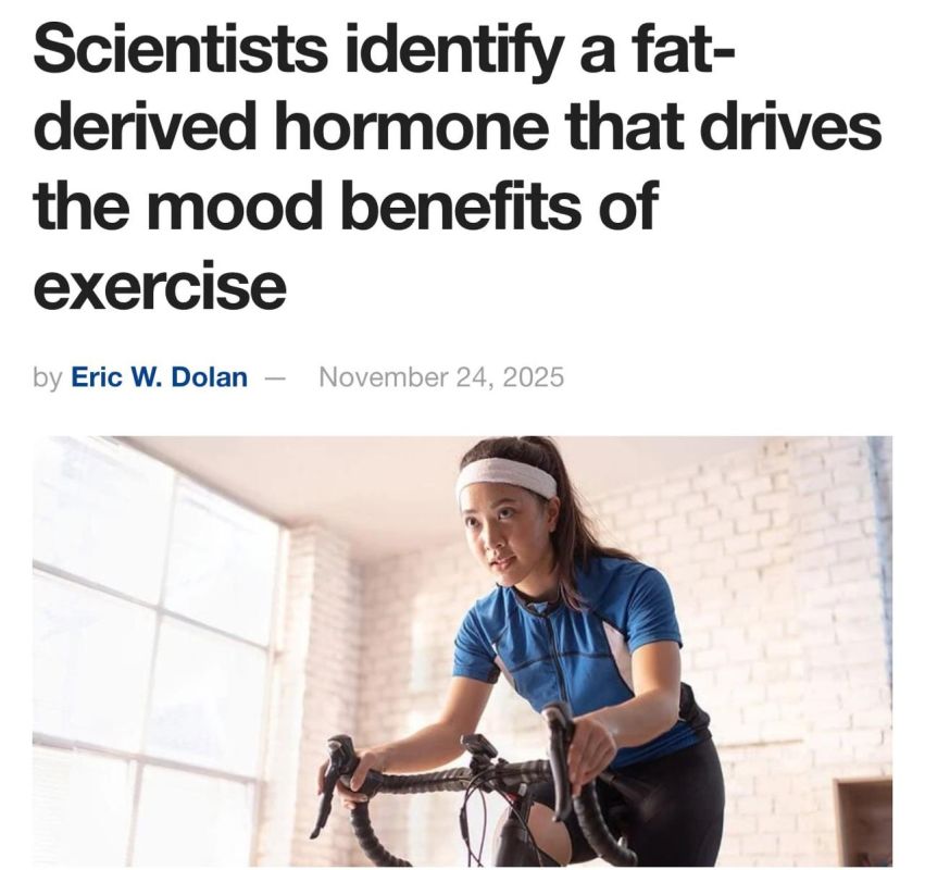 Грибное разнообразие из села Хрустовая в Каменском районе Грибное разнообразие из села Хрустовая в Каменском районе