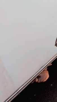 Грузовик оброс грибами. В комментариях под видео придумывают названия для нового вида: дизелята, выхлопник