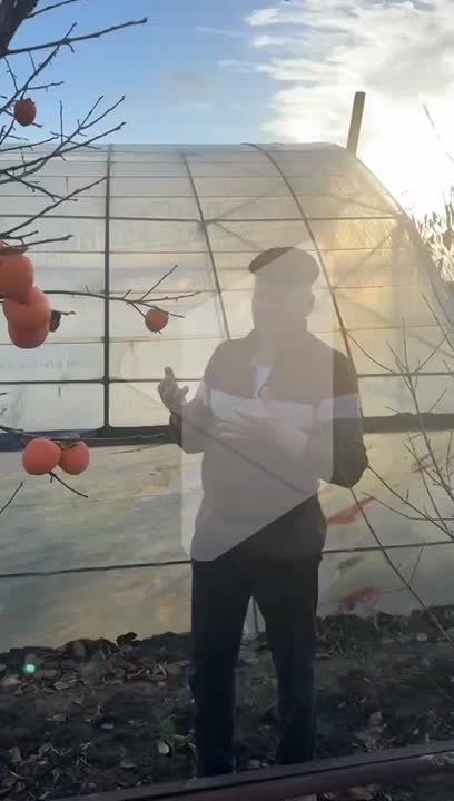 Экзотика на огородах приднестровцев