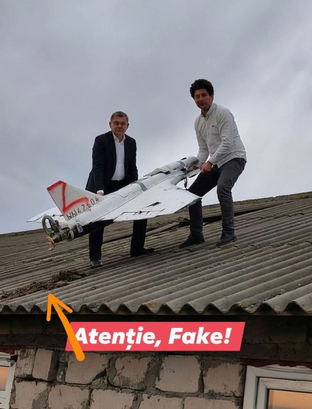 А можно узнать, как эта земля оказалась на крыше?