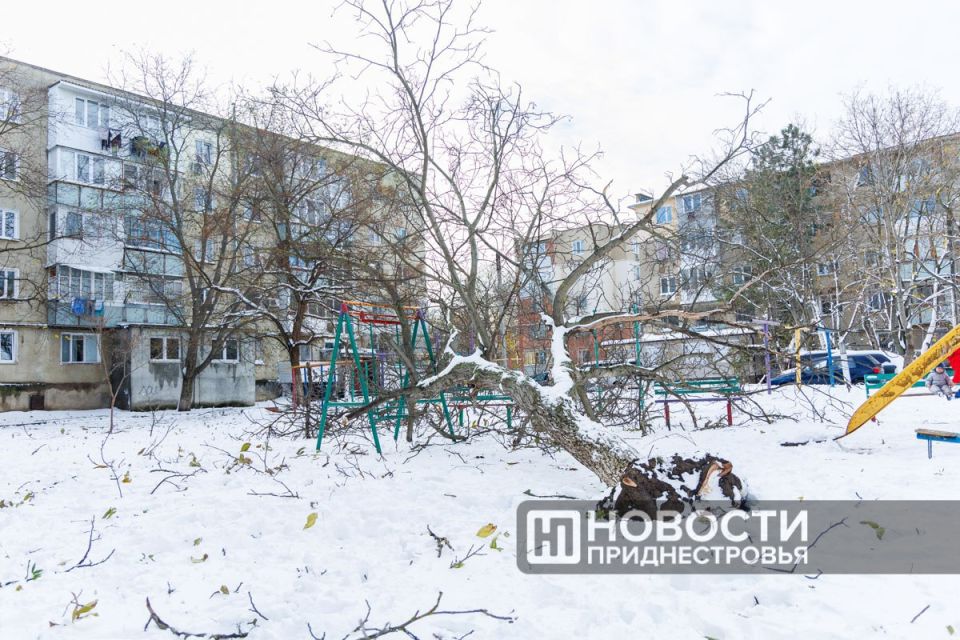 Сегодня синоптики обещают в Приднестровье хоть и пасмурный, но теплый для конца ноября день Сегодня синоптики обещают в Приднестровье хоть и пасмурный, но теплый для конца ноября день