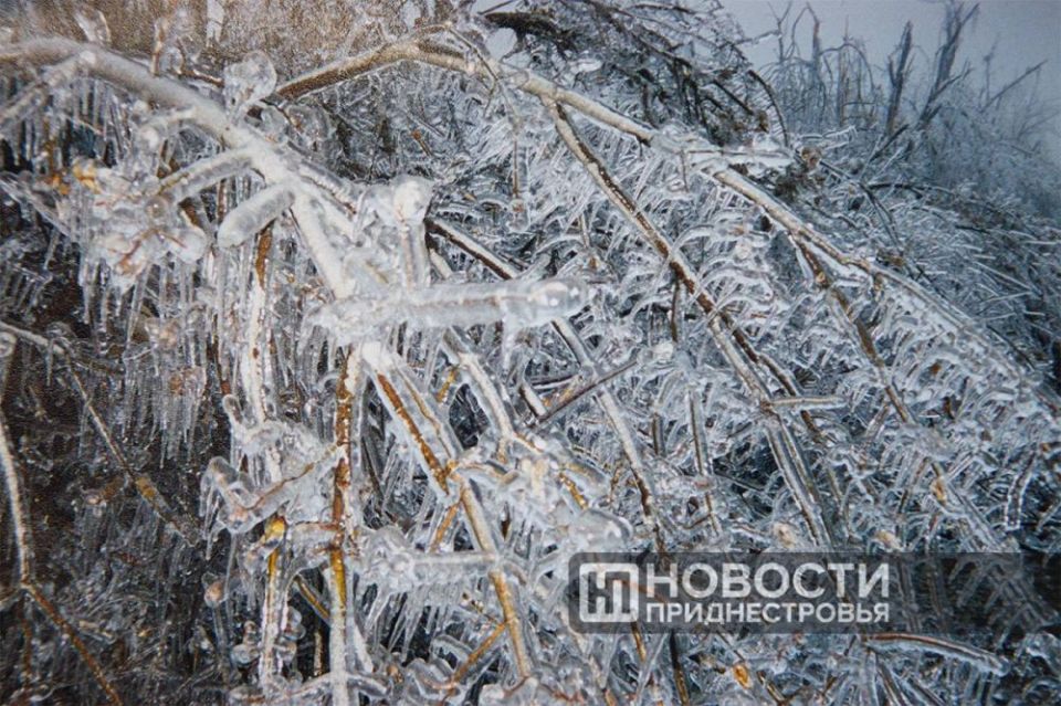 Обледенение 2000 года. Фотографии ИА «Новости Приднестровья»
