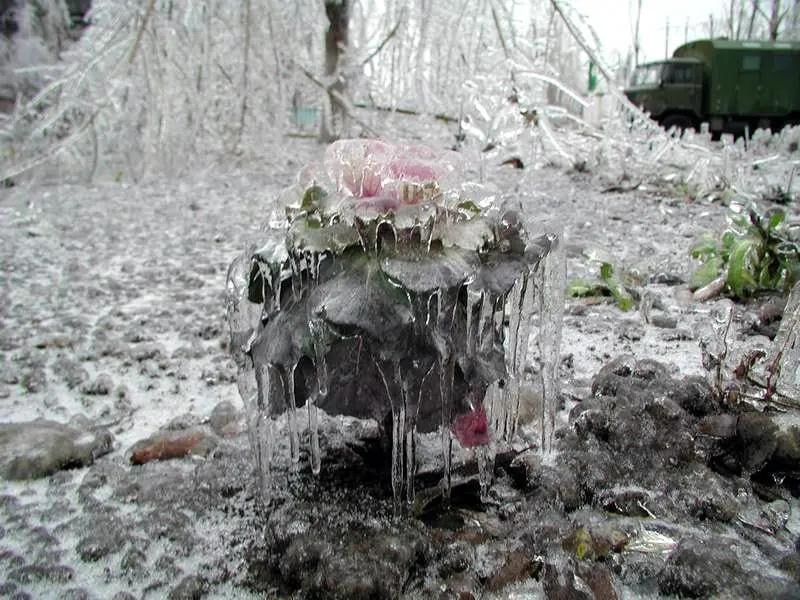 25 лет назад Приднестровье сковало льдом