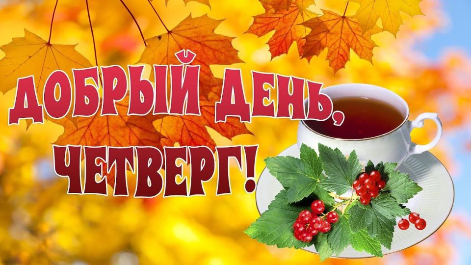 27 ноября – самый музыкальный, защитный и колючий день ноября