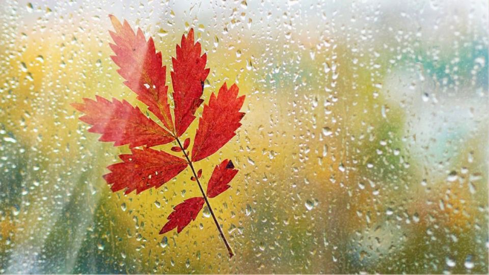 Доброго утра!. Прогноз погоды на сегодня, 28 ноября