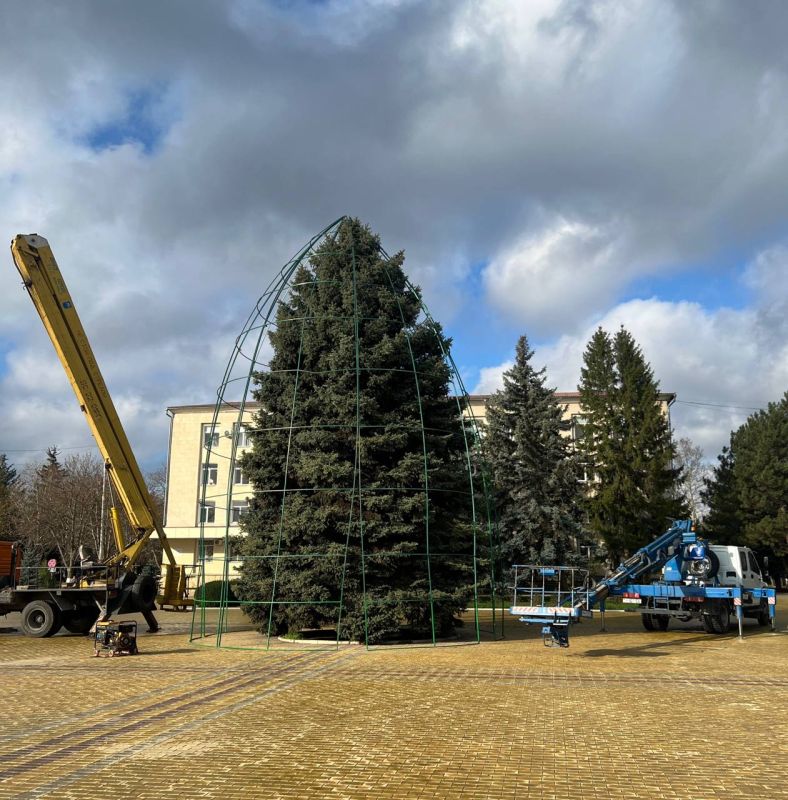 В Приднестровье начали устанавливать главные новогодние ёлки