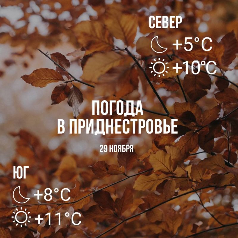 Днём – до +11°С, без существенных осадков