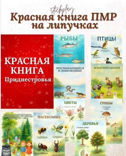 ��������� ������� ��� �������� ������������: ������������� ����� �� �������� � ����� ������