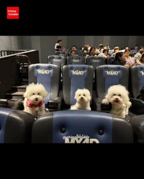 «Зверополис 2» стал самым кассовым мультфильмом в истории за первый уикэнд проката