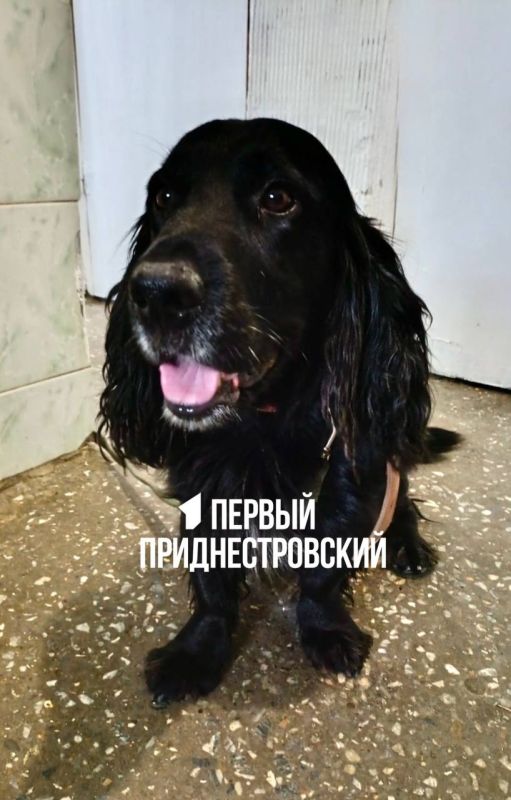 ����� ����������� ������ ������� � ��������� ��������� ���������� ������, ������� ������ � ���� ������ � ������������� � �������