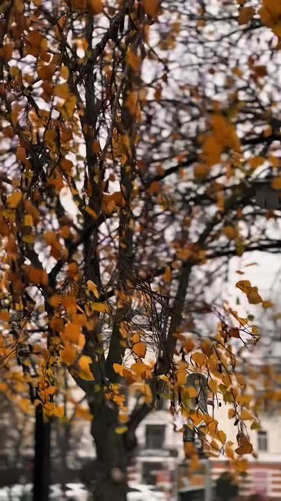 Хотя на календаре уже первый зимний месяц, в столице всё ещё царит осенняя атмосфера