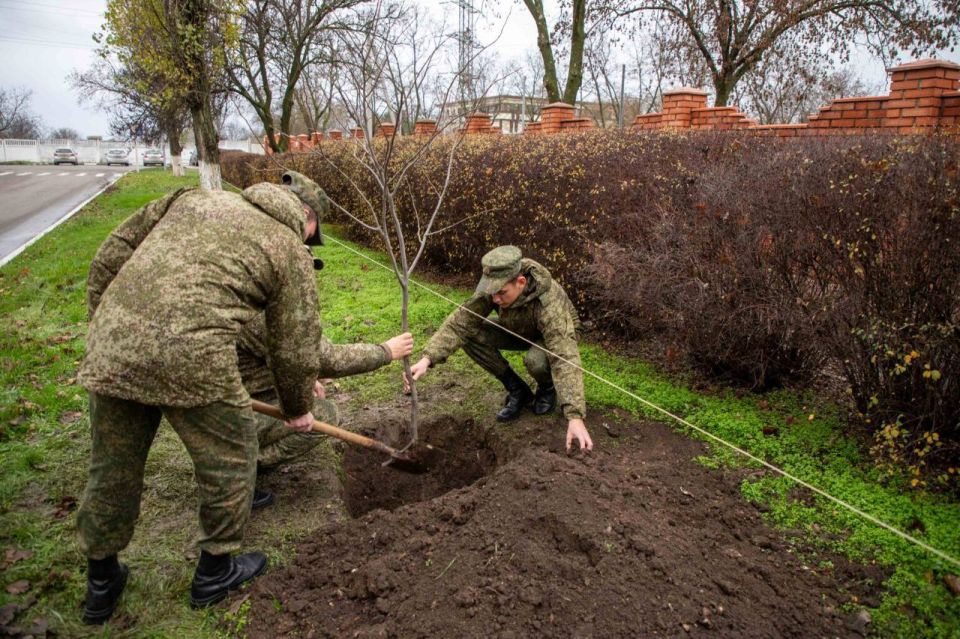 СУВОРОВСКОЕ УЧИЛИЩЕ УКРАСИЛА НОВАЯ «АЛЛЕЯ ВЫПУСКНИКОВ» СУВОРОВСКОЕ УЧИЛИЩЕ УКРАСИЛА НОВАЯ «АЛЛЕЯ ВЫПУСКНИКОВ»