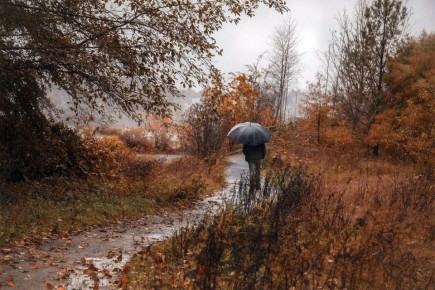 3 декабря. ожидается облачная погода, без существенных осадков