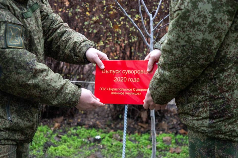 СУВОРОВСКОЕ УЧИЛИЩЕ УКРАСИЛА НОВАЯ «АЛЛЕЯ ВЫПУСКНИКОВ»