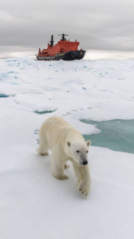 ����� ����� ��������������� ������� ������� �50 ��� �������