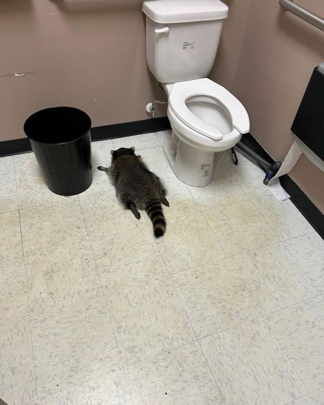 � ��� ���� ��������� � ������� �������� �����, ������� �� ������������ � ��������� � �������