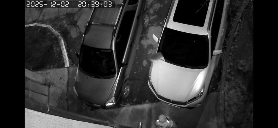 ���������, ����� �����, ����� ����������