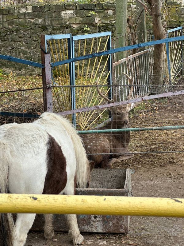 ������� ������������ ����� �5 ������� �����, ������, ����� � ����� ��� �������� ��������