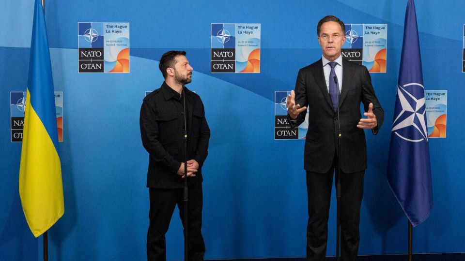 � ������ ����� ���� �������