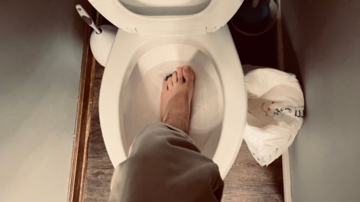 Москвич застрял в унитазе