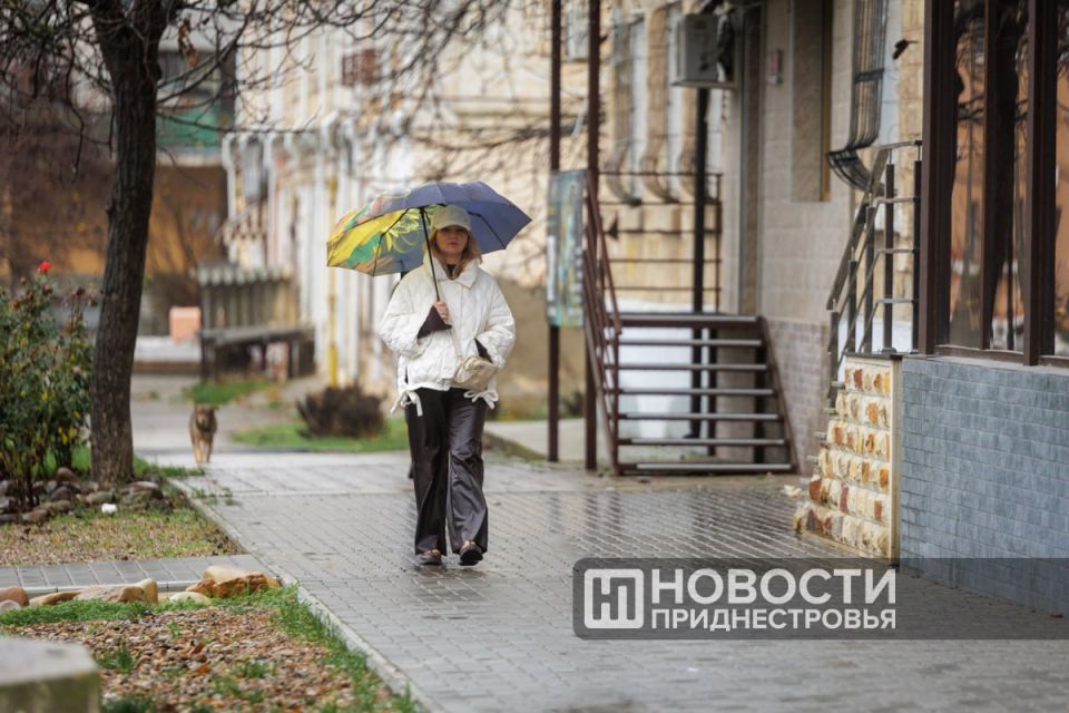 На следующей неделе несколько похолодает: приднестровские синоптики обещают от 5 до 10 градусов тепла днем
