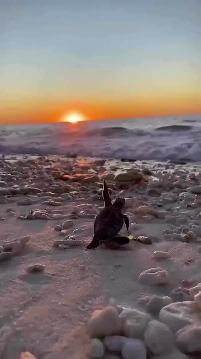 Доброе утро!. Вперед к поставленным целям!