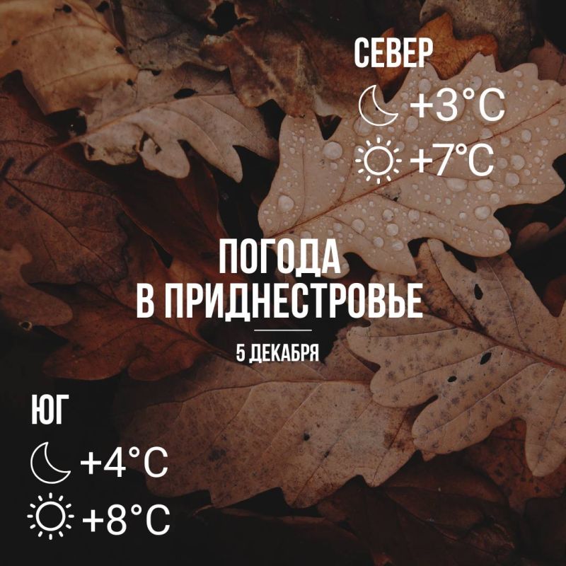 Днём – до +8°С, без осадков