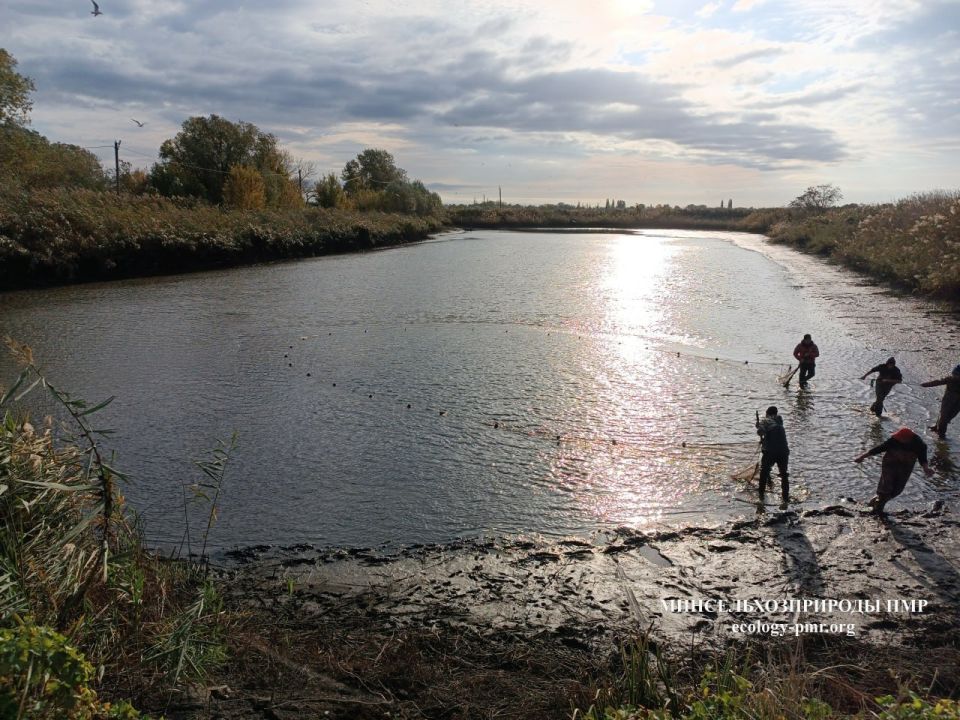 �� ������� ������ ����� ���� ����� ����� ��������, � ������ ���� ������ � ������������ �������������, �������� 275,5 ���