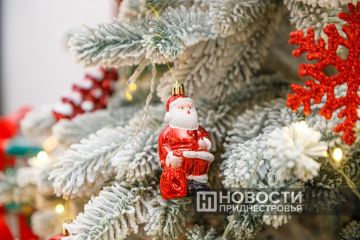 Бендерский историко-краеведческий музей создает «Ёлку моего детства»