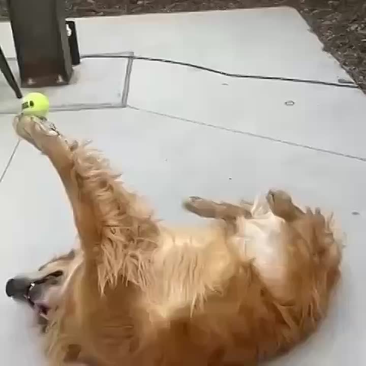 В выходные спорт только такой