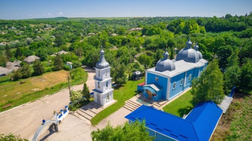 Вид на село Воронково, 30-е годы прошлого века