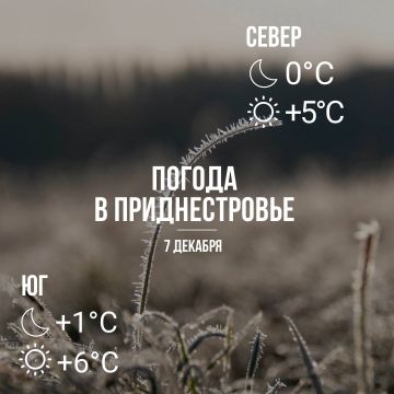 Днём – до +6°С, без осадков