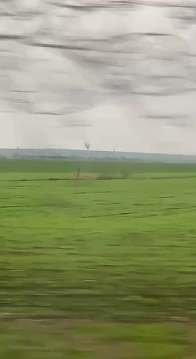 Смерч из чёрных птиц засняли по дороге из Тирасполя в Григориополь