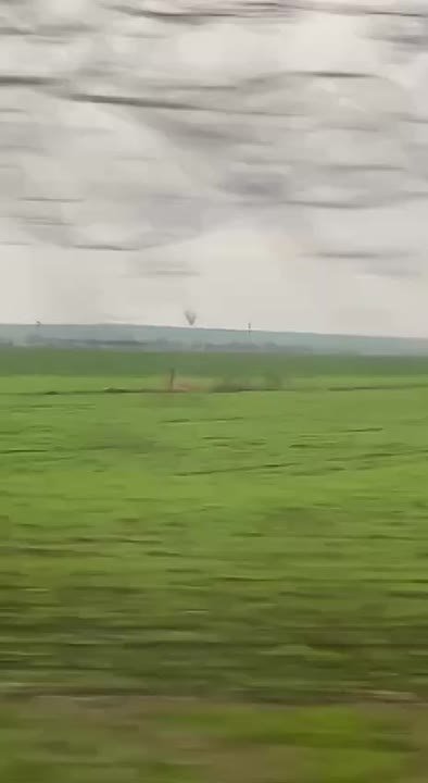 Смерч из чёрных птиц засняли по дороге из Тирасполя в Григориополь