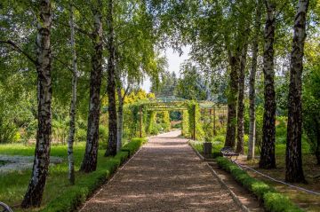 Теплицу и оранжерею построят в столичном дендропарке