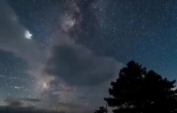    13  14  2025             - 